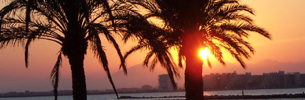 Photo_header